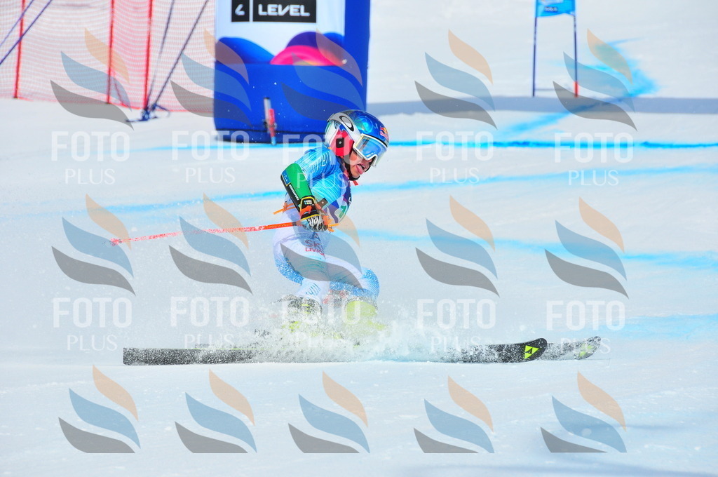 DSC_1537 | holidayphoto