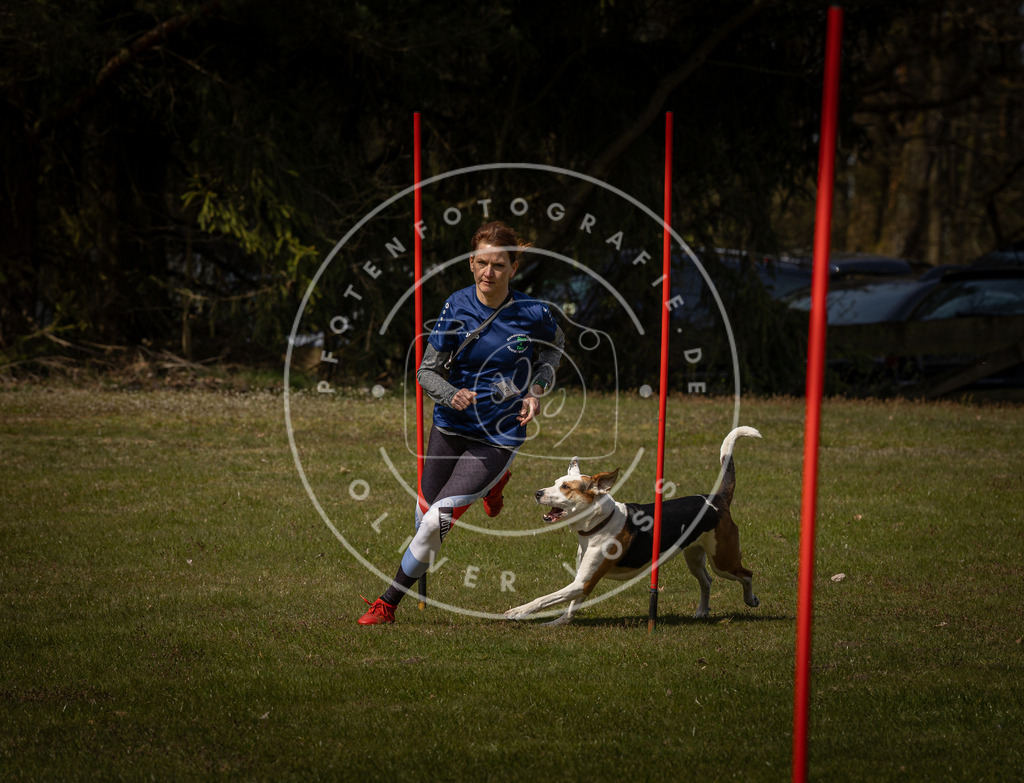 Pfotenfotografie_DV3A4439 | Hundefotografie, Tierfotograf, Pfotenfotografie, Fotoshooting Hund, Hunde Portrait, Hundesport, Hundeportraits, Heideshooting, Hunde, Sportfotograf, Hundefotograf, Turnierhundsport, THS,  - Realisiert mit Pictrs.com