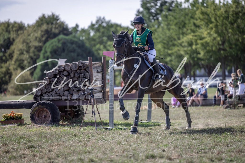 20260906-_3LI6300 | Tierfotografie Pferde, Hunde, Katzen, Haustiere.
Turnierfotografie Reitturniere, Reiten, Springreiten, Dressur in Hanau, dem Main-Kinzig-Kreis und dem Rhein-Main- Gebiet um Frankfurt