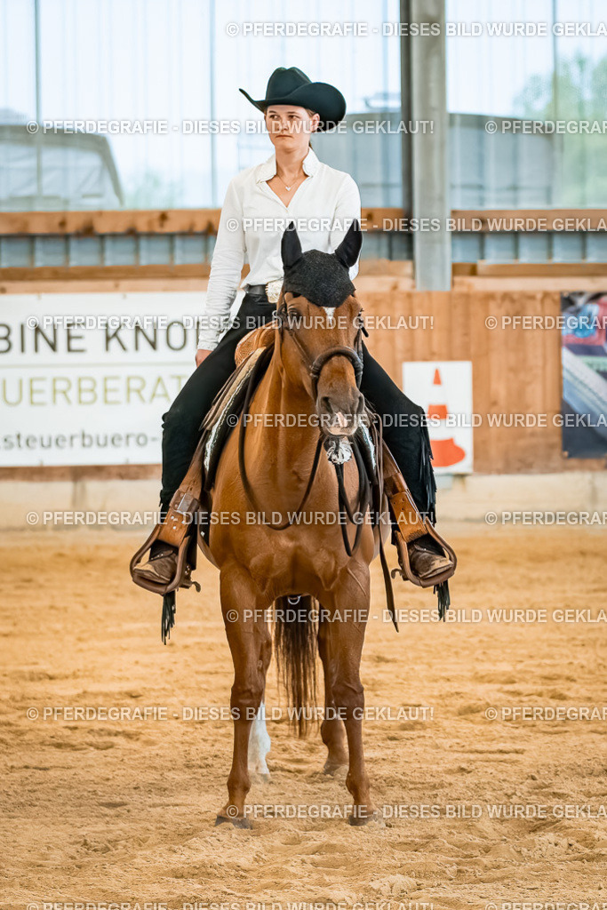 DSC00162 | Pferdegrafie