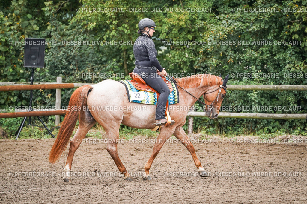 DSC01959 | Pferdegrafie