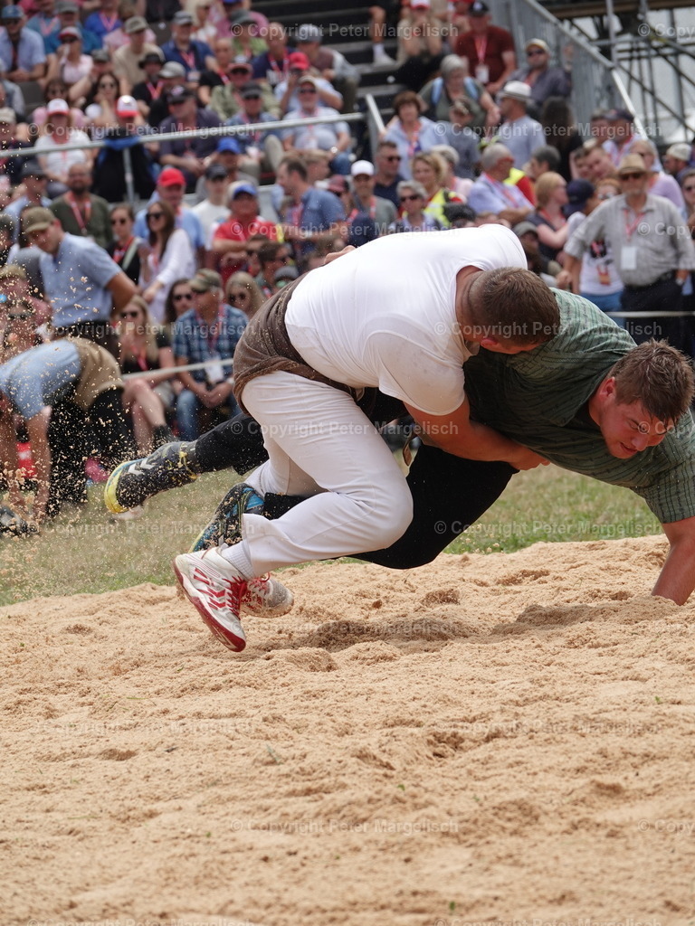 DSC04971 | Schwingen - Realisiert mit Pictrs.com
