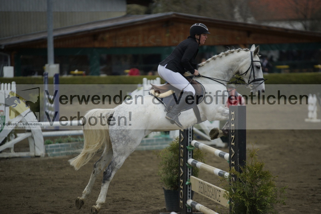 _DSC7253 | equestrian-live-com