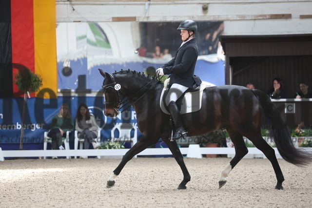 Pforzheim_2024_Prfg.Nr.12_Dressurreiterprfg.Kl.M_Nürnberger-Burgpokal_Lucca Pfeil_Diamond Lady P (2) | Alle Fotos der Reiterjournal Fotografin Doris Matthaes im Reiterjournal Online-Fotoshop. - Realisiert mit Pictrs.com