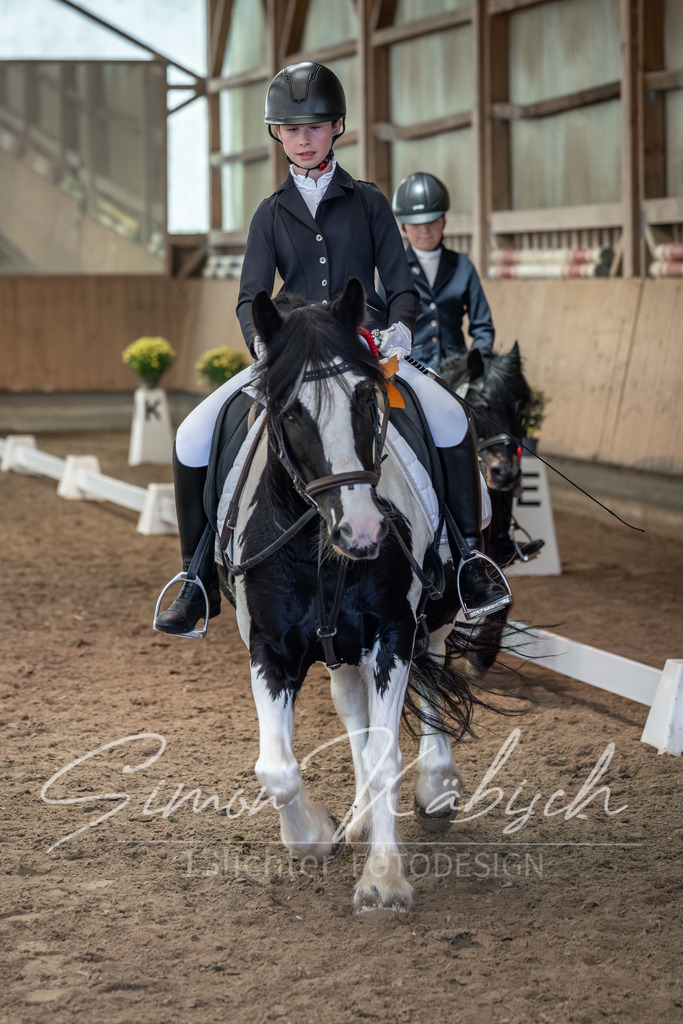 20251011-_3LI8137 | Tierfotografie Pferde, Hunde, Katzen, Haustiere.
Turnierfotografie Reitturniere, Reiten, Springreiten, Dressur in Hanau, dem Main-Kinzig-Kreis und dem Rhein-Main- Gebiet um Frankfurt