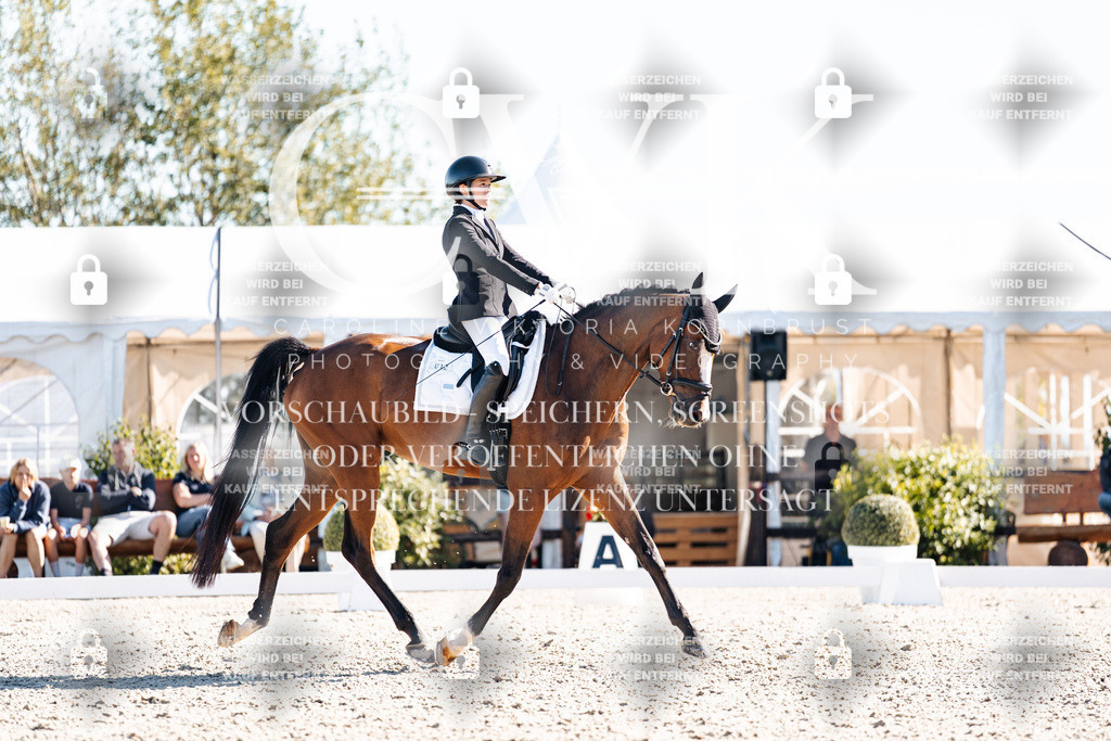 CK908616 | Turnierfotografie Pferdefotografie Trier Rheinland-Pfalz Pferdesport Reitsport Tierfotografie Sportfotografie Pferdevideo Pferdevideografie Equestrianvideography equestrianphotography  - Realisiert mit Pictrs.com