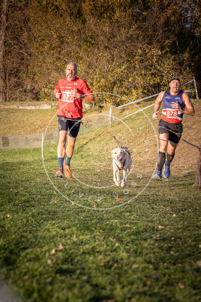 CaniXpix_0L8A1143 | Hundefotografie, Tierfotograf, Pfotenfotografie, Fotoshooting Hund, Hunde Portrait, Hundesport, Hundeportraits, Heideshooting, Hunde, Sportfotograf, Hundefotograf, Turnierhundsport, THS,  - Realisiert mit Pictrs.com