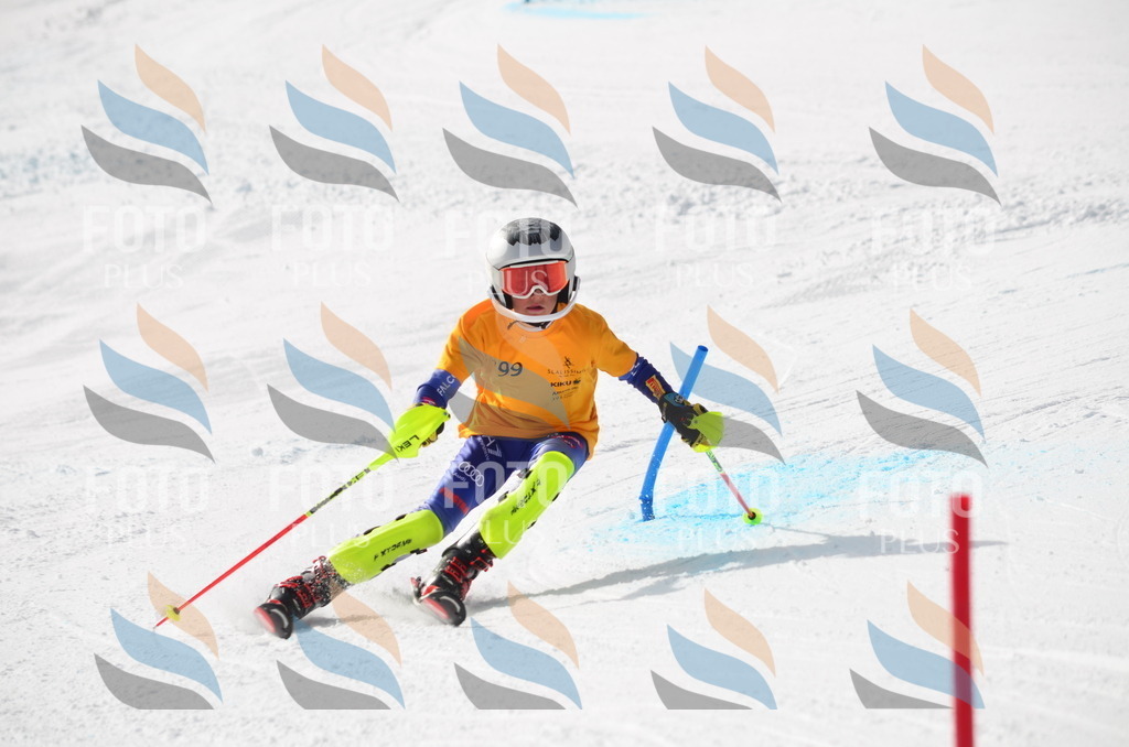 C8110 | holidayphoto