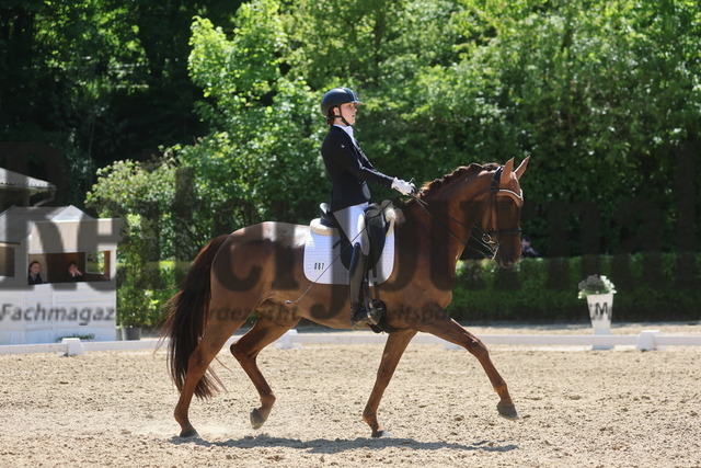 Böblingen_2025_Prfg.Nr.08_Dressurprüfung_Kl.M_Nürnberger Burgpokal_Luisa Marie Schmid_Elmegardens Lacita (7) | Alle Fotos der Reiterjournal Fotografin Doris Matthaes im Reiterjournal Online-Fotoshop. - Realisiert mit Pictrs.com