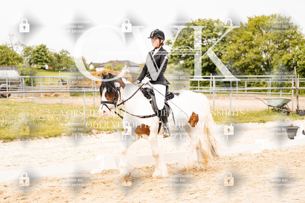 CK904195 | Turnierfotografie Pferdefotografie Trier Rheinland-Pfalz Pferdesport Reitsport Tierfotografie Sportfotografie Pferdevideo Pferdevideografie Equestrianvideography equestrianphotography  - Realisiert mit Pictrs.com