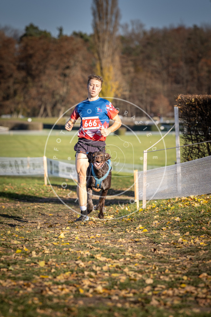 CaniXpix_DV3A0771 | Hundefotografie, Tierfotograf, Pfotenfotografie, Fotoshooting Hund, Hunde Portrait, Hundesport, Hundeportraits, Heideshooting, Hunde, Sportfotograf, Hundefotograf, Turnierhundsport, THS,  - Realisiert mit Pictrs.com