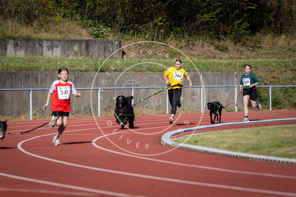 Pfotenfotografie_DV3A8050 | Hundefotografie, Tierfotograf, Pfotenfotografie, Fotoshooting Hund, Hunde Portrait, Hundesport, Hundeportraits, Heideshooting, Hunde, Sportfotograf, Hundefotograf, Turnierhundsport, THS,  - Realisiert mit Pictrs.com