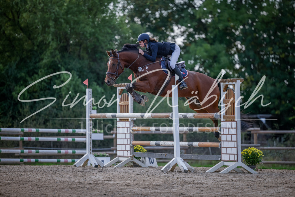20251012-_3LI5570 | Tierfotografie Pferde, Hunde, Katzen, Haustiere.
Turnierfotografie Reitturniere, Reiten, Springreiten, Dressur in Hanau, dem Main-Kinzig-Kreis und dem Rhein-Main- Gebiet um Frankfurt