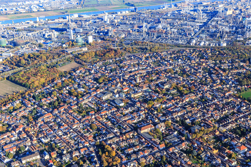 Luftbild: Ortsansicht vor der BASF aus Nordwesten im Ortsteil Oppau in Ludwigshafen im Bundesland Rheinland-Pfalz in Deutschland. Foto: IMG_095532.jpg vom 30.10.2016 durch Werner Riehm/FLY-FOTO.de