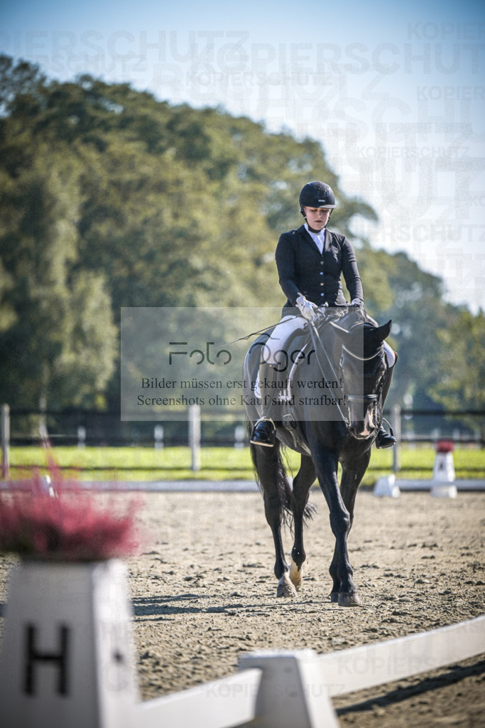 DOS_2180 | Entdecke hochwertige Reitturnierfotos von Foto Oger. Professionell, emotional und authentisch – jetzt Lieblingsmomente im Shop bestellen.Deutschlandweite Turnierfotografie. - Realisiert mit Pictrs.com