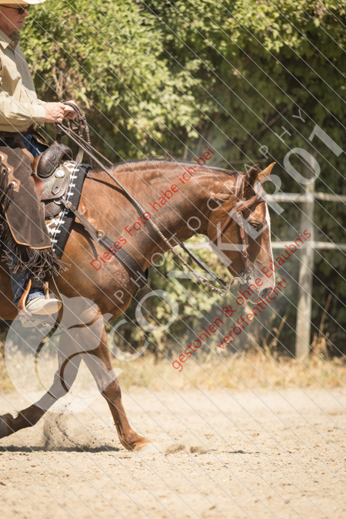 IMG_0516 | Sport-, Event- und Tierfotos in Profiqualität. Einfach auswählen, bestellen und herunterladen. Dein Moment – perfekt festgehalten.