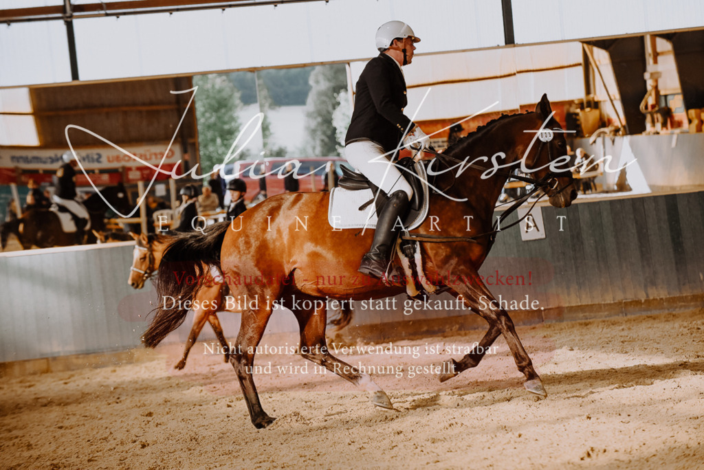 DSC_7568 | Pferde- und Turnierfotografie in Westsachsen. Pferdeportraits, Auftragszeichnungen und intuitive Kunst.