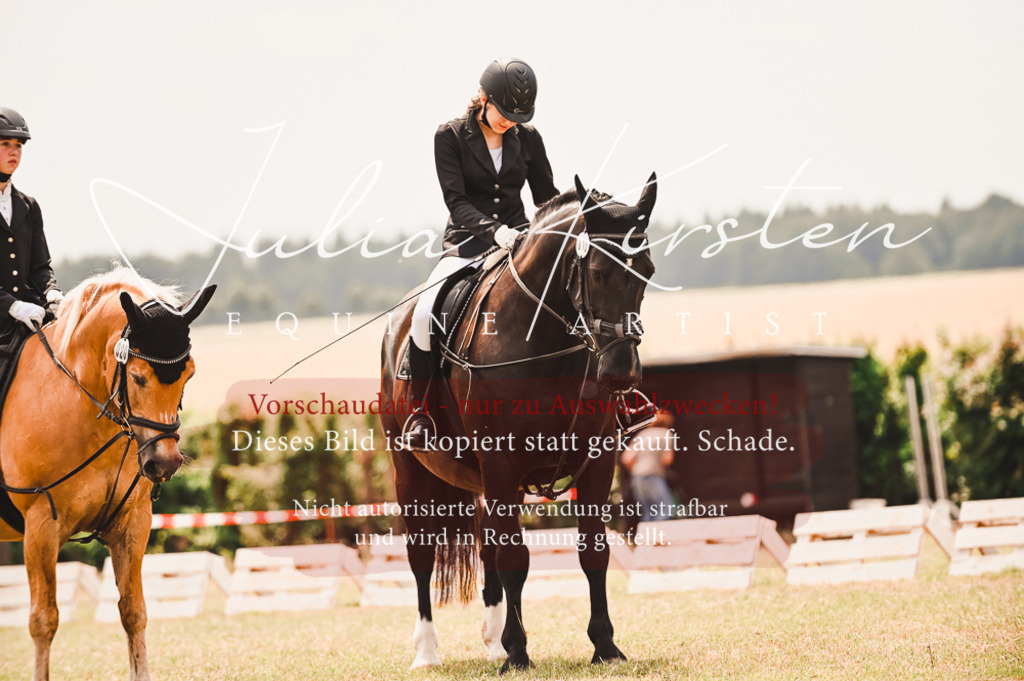 DSC_6280 | Pferde- und Turnierfotografie in Westsachsen. Pferdeportraits, Auftragszeichnungen und intuitive Kunst.