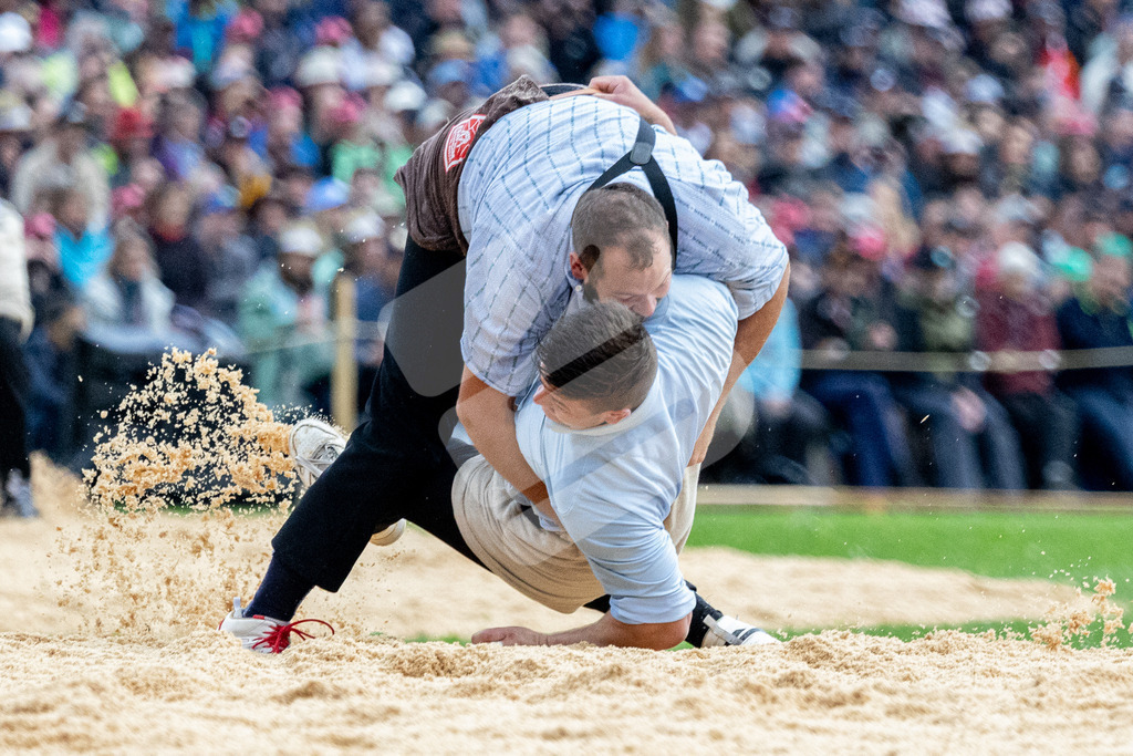 ESAF2025_01Gang_4858 | Die Schwinger des Schwyzer Kantonalen Schwingerverbandes: Fotos, die Dynamik und Leidenschaft festhalten, sowie emotionale Momente aus dem traditionellen Schwingsport zeigen. - Realisiert mit Pictrs.com