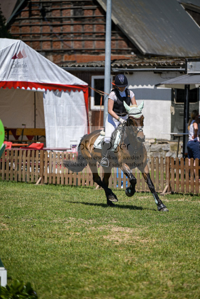 Reitturnier Voxtrup | Entdecke hochwertige Reitturnierfotos von Foto Oger. Professionell, emotional und authentisch – jetzt Lieblingsmomente im Shop bestellen.Deutschlandweite Turnierfotografie. - Realisiert mit Pictrs.com