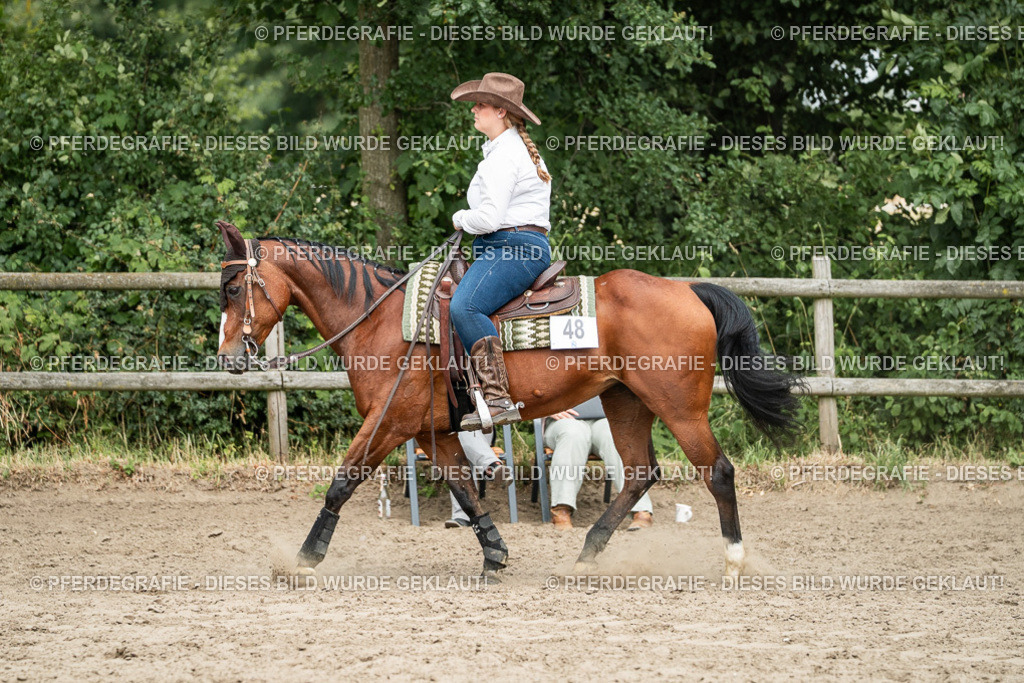 DSC02400 | Pferdegrafie