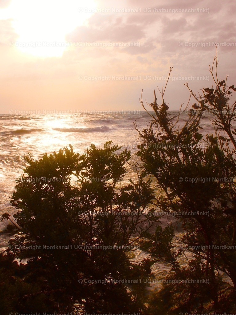 PA231965 | OLYMPUS DIGITAL CAMERA          - Realisiert mit Pictrs.com