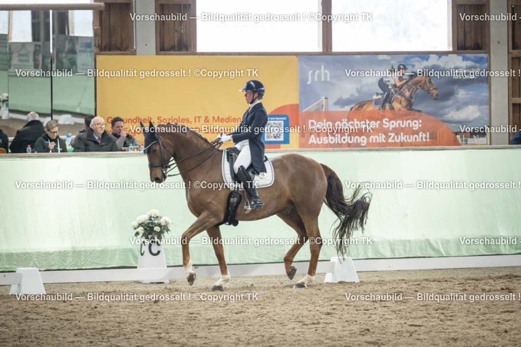 _D5A6129 | Emotionale Pferde- & People-Fotografie rund um Heidelberg, Leimen & Umgebung. Natürliche Fotos von Pferd, Mensch & Familie. Jetzt Termin sichern!