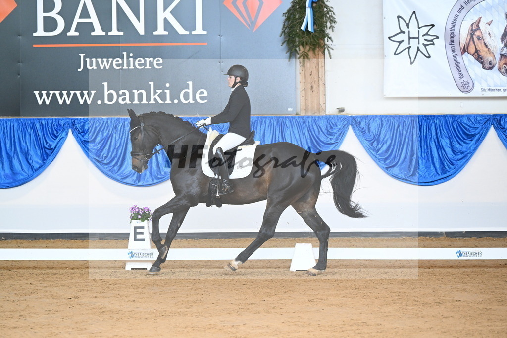 Hironimus-Dalic_Pfingstrose_7_10230718 | hf-fotografie - Realisiert mit Pictrs.com