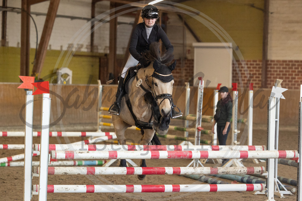 994A9831 | sabrinanicolaifotografie - Realisiert mit Pictrs.com