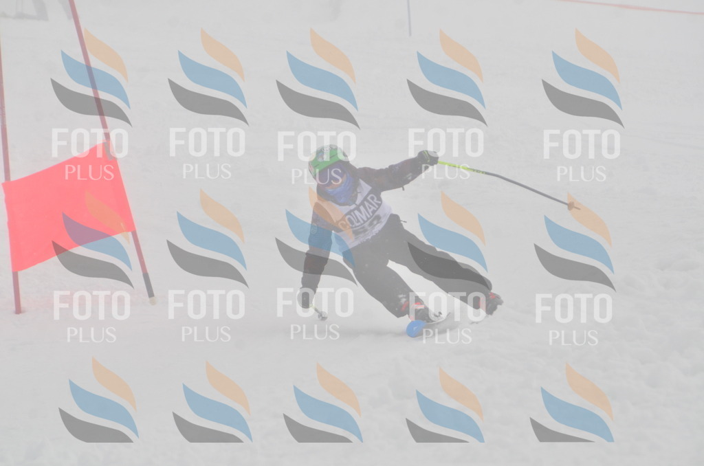 A5397 | holidayphoto