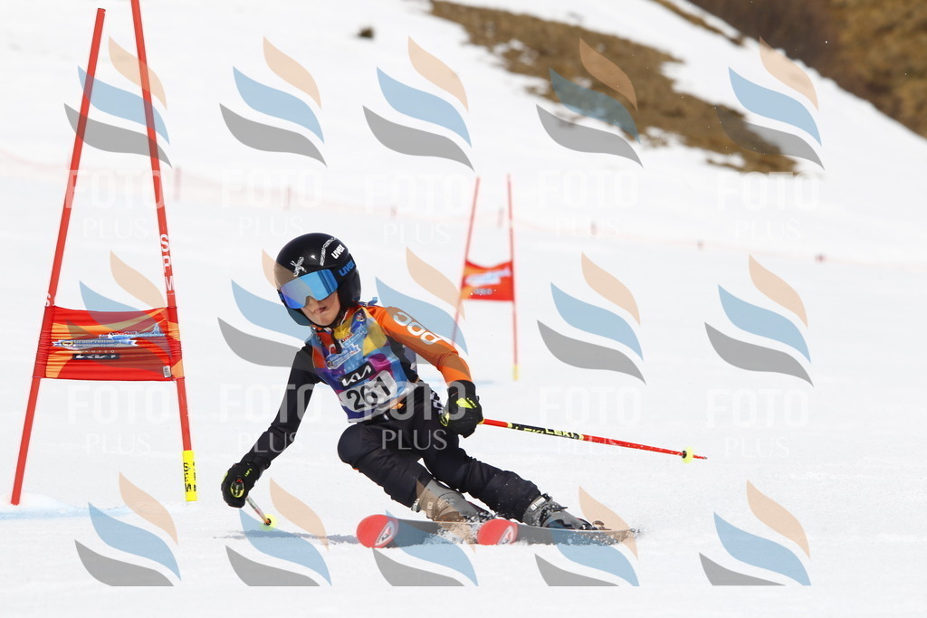 _U3G6541 | holidayphoto