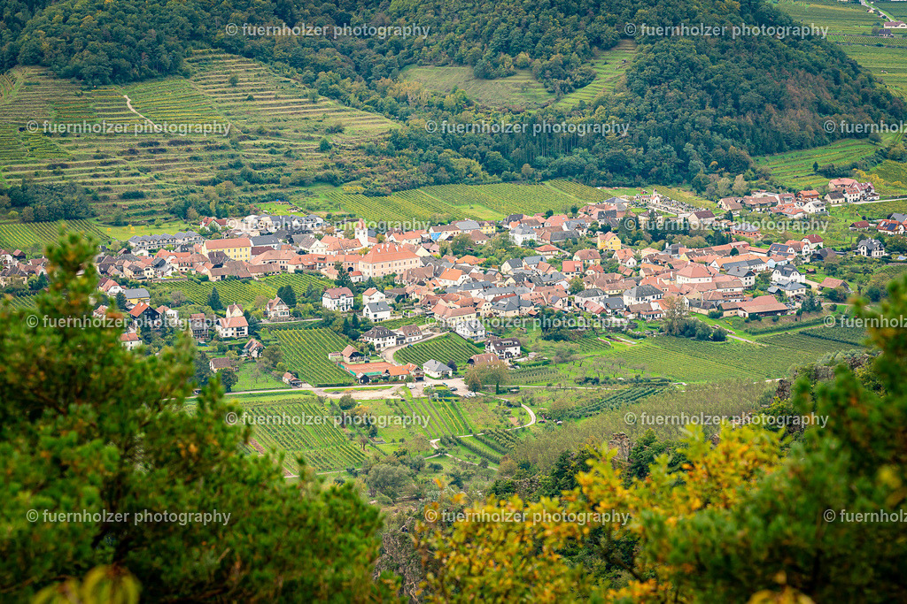 _fuernholzer_241005-C4-345 | © Christian Fuernholzer | fuernholzer photography