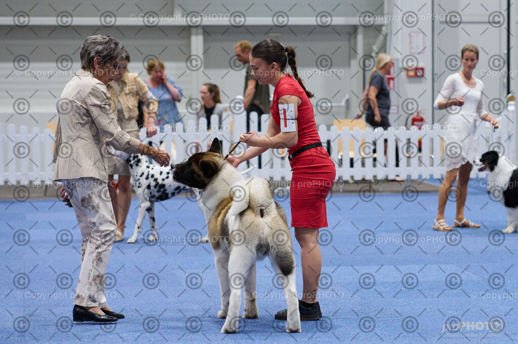 202406_ÖKV-IHA-Tulln24_DSC_3325 | proPHOTO - Realisiert mit Pictrs.com