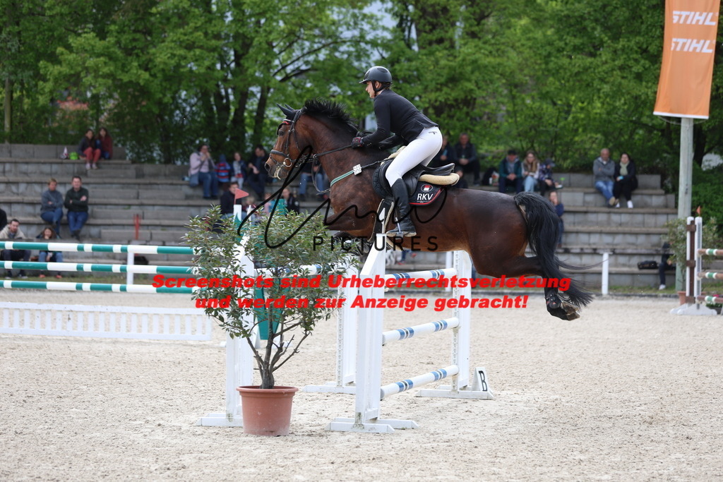 A40A4933 | lmwpictures - Realisiert mit Pictrs.com