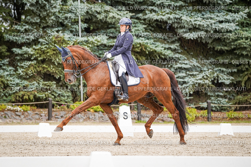 DSC05865 | Pferdegrafie