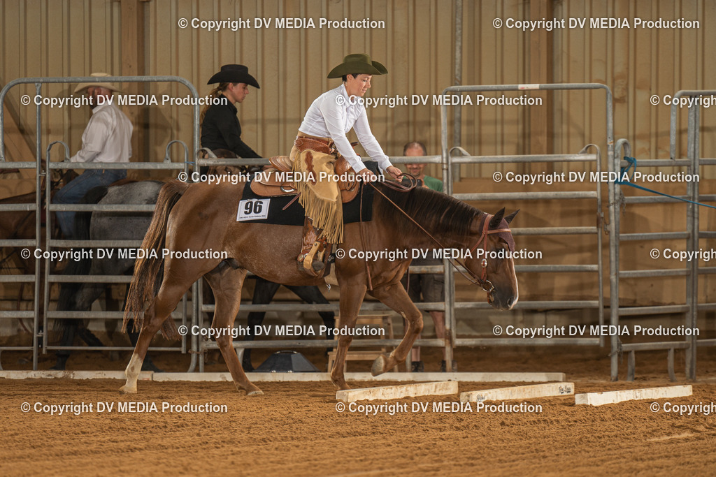 NID01749 | dv-media-shop - Realisiert mit Pictrs.com