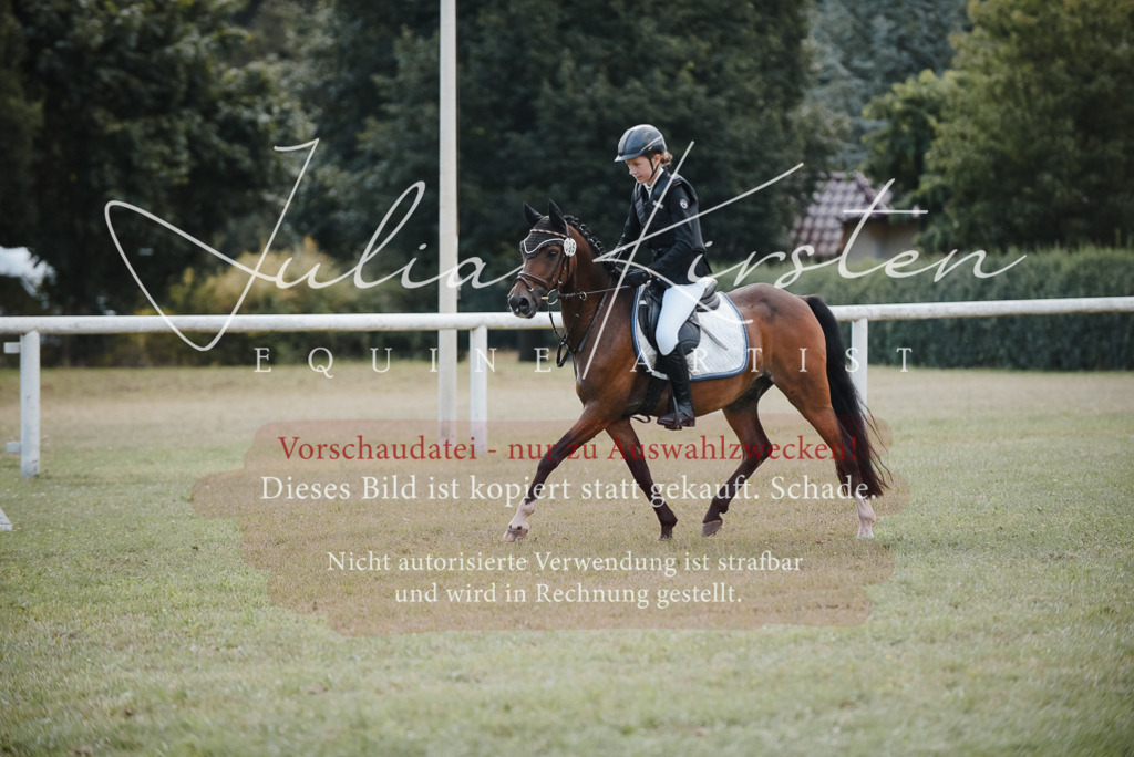 DSC_5427 | Pferde- und Turnierfotografie in Westsachsen. Pferdeportraits, Auftragszeichnungen und intuitive Kunst.