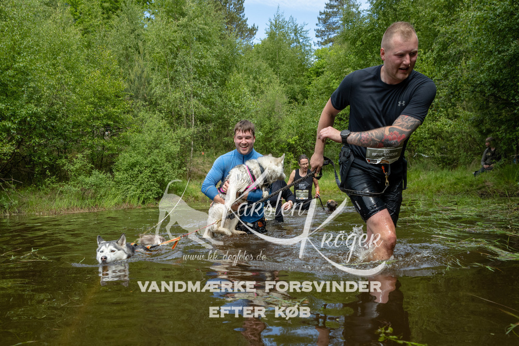 1117DKK994676 | kk-dogfotos