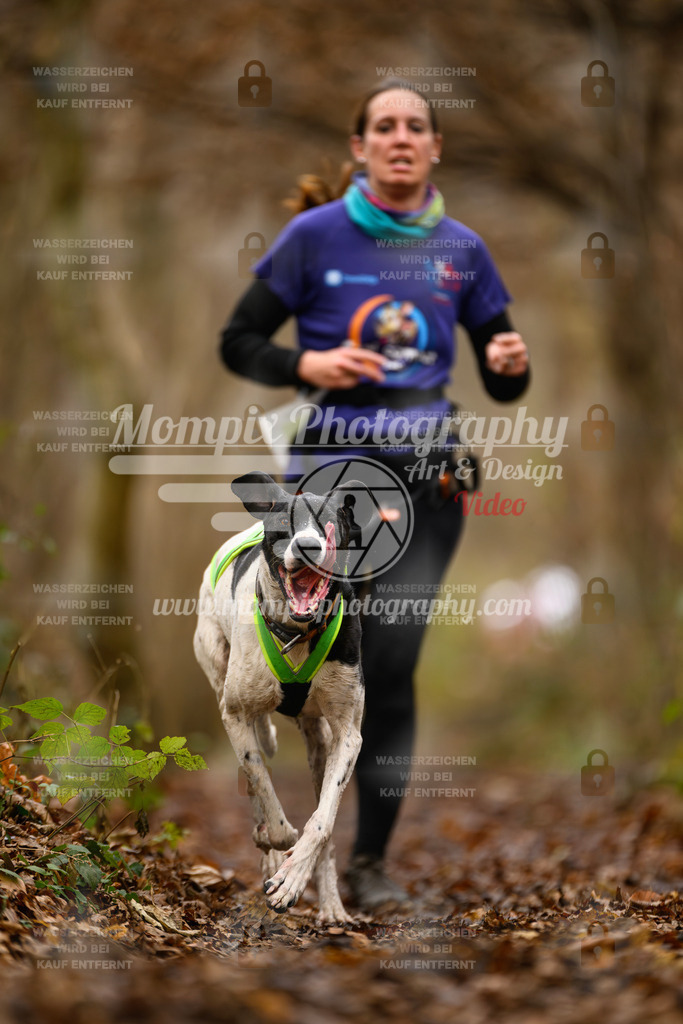 MompixPhotography_Eschau2024_CCL-44 | PayLife