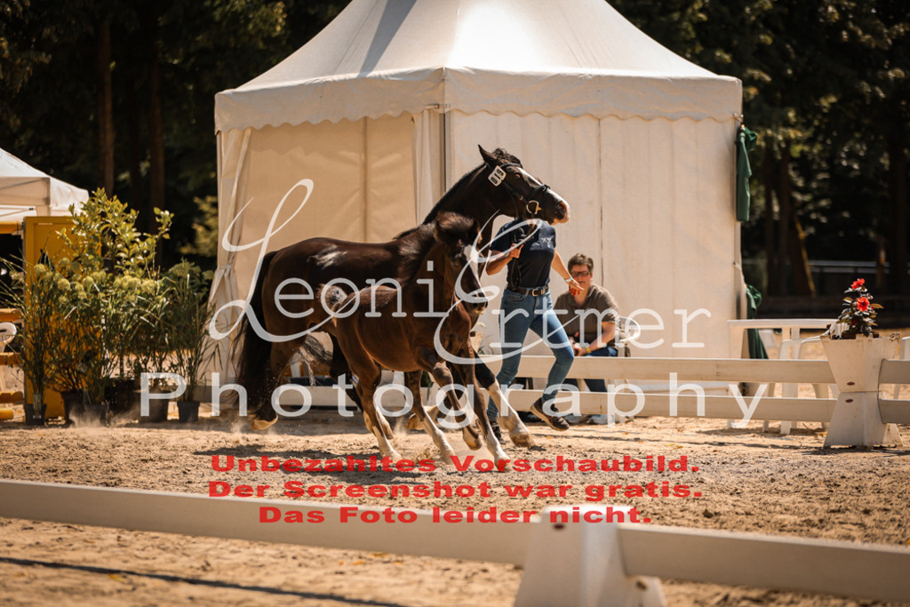 04.DoWP00092 | Leoni Ertmer Photography - Realisiert mit Pictrs.com