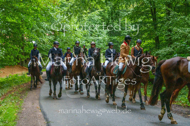 Jagd Kletkamp 26-02775_MarinaHewig | Fotografie, FotoArt, PferdesportArt, Pferdesportfotografie, Landschaftsfotografie, Reisefotografie, Reise, Pferde - Realisiert mit Pictrs.com