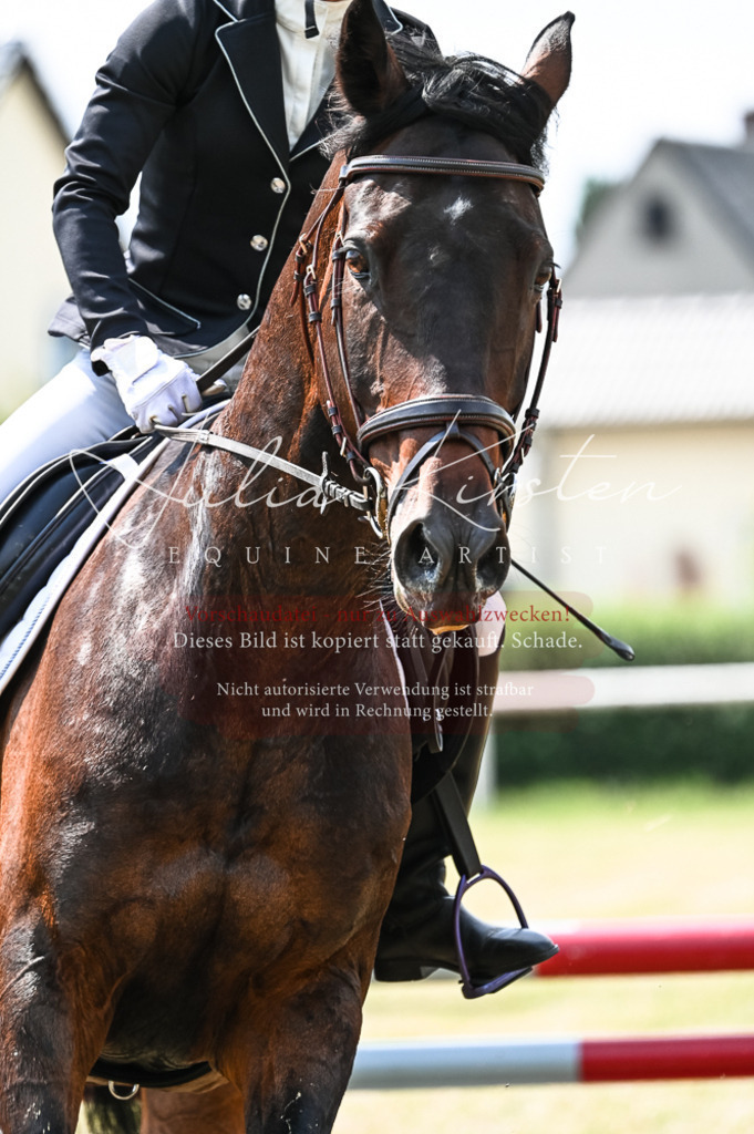 DSC_8884 | Pferde- und Turnierfotografie in Westsachsen. Pferdeportraits, Auftragszeichnungen und intuitive Kunst.
