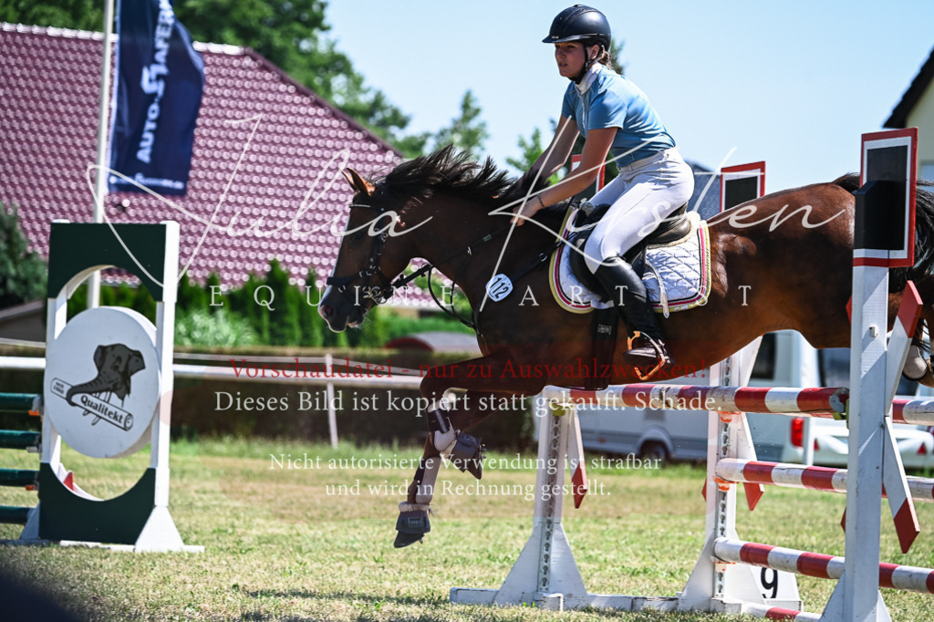 DSC_0954 | Pferde- und Turnierfotografie in Westsachsen. Pferdeportraits, Auftragszeichnungen und intuitive Kunst.