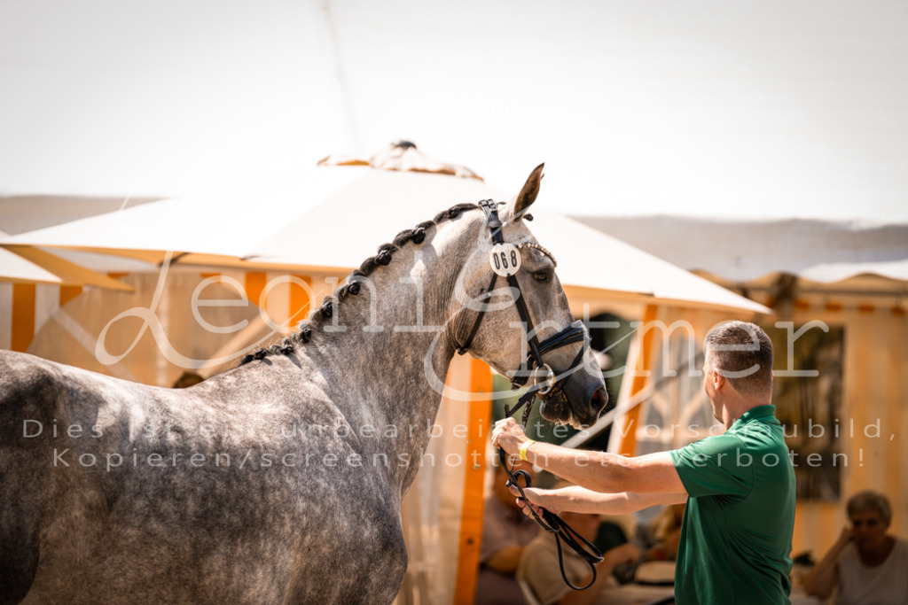 1.Fr00078 | Leoni Ertmer Photography - Realisiert mit Pictrs.com