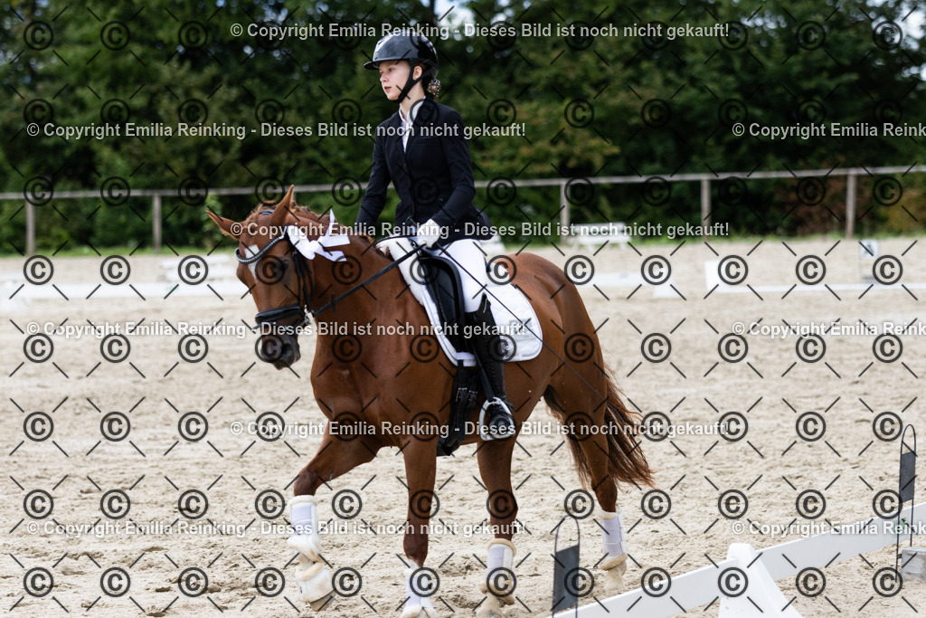 CL5A8792 | Emilia Reinking Fotografie - Realisiert mit Pictrs.com