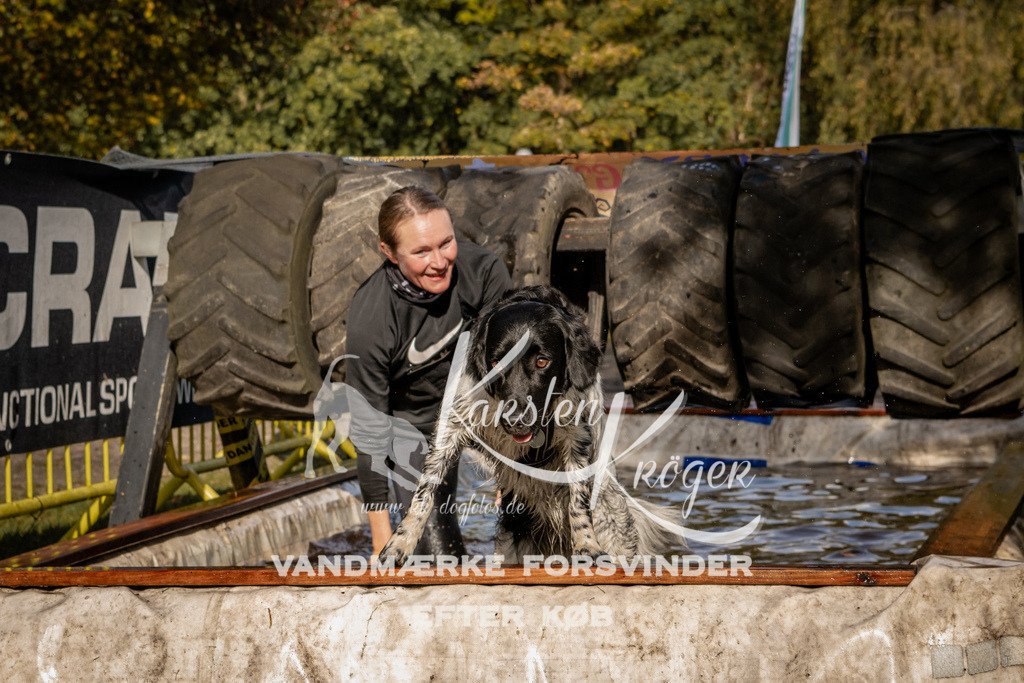 1300_ZZ91588 | kk-dogfotos