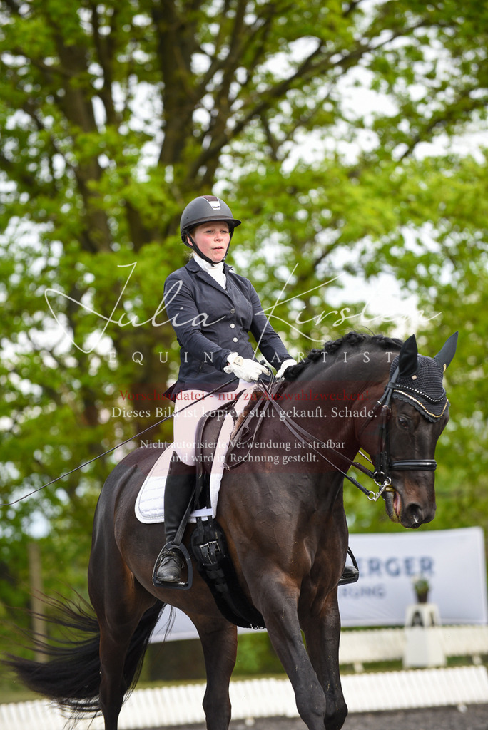 20230513_JK-Röhrsdorf-17-248 | Pferde- und Turnierfotografie in Westsachsen. Pferdeportraits, Auftragszeichnungen und intuitive Kunst.
