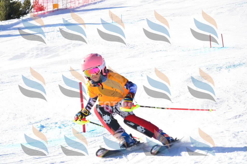 C5790 | holidayphoto