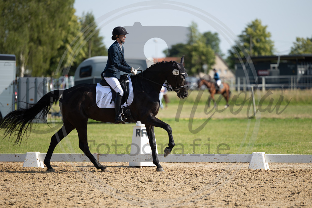 994A4208 | sabrinanicolaifotografie - Realisiert mit Pictrs.com