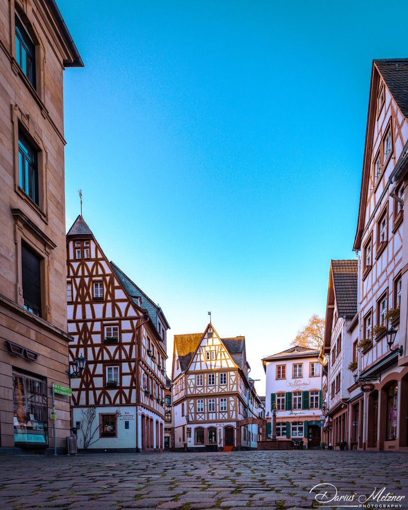 Der Kirschgarten in Mainz | Der Kirschgarten in Mainz